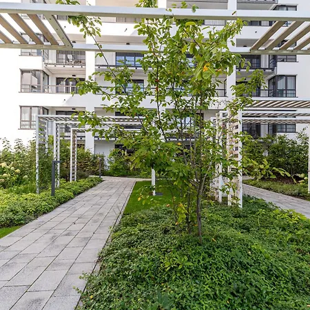 Doki 1555 By Grand * Danzica